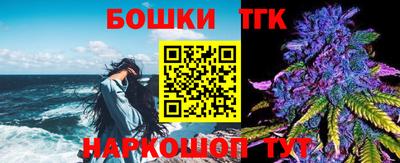 гидра Кимры