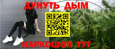 индика Кинель
