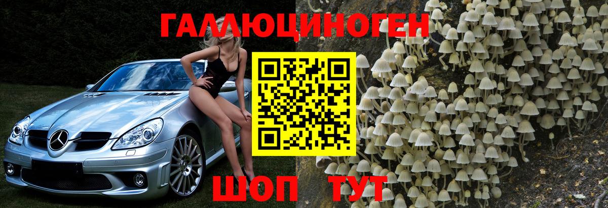 Красноярск  Галлюциногенные грибы GOLDEN TEACHER  Вход с VPN 